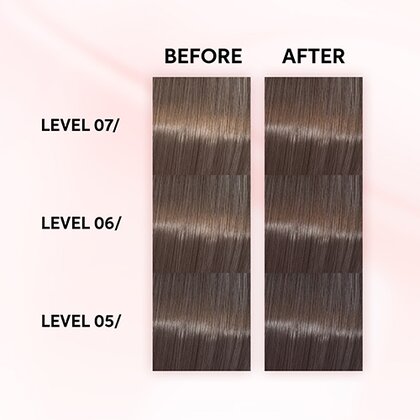 Shinefinity Zero Lift Glaze 06/73 Dark Blonde Brown Gold